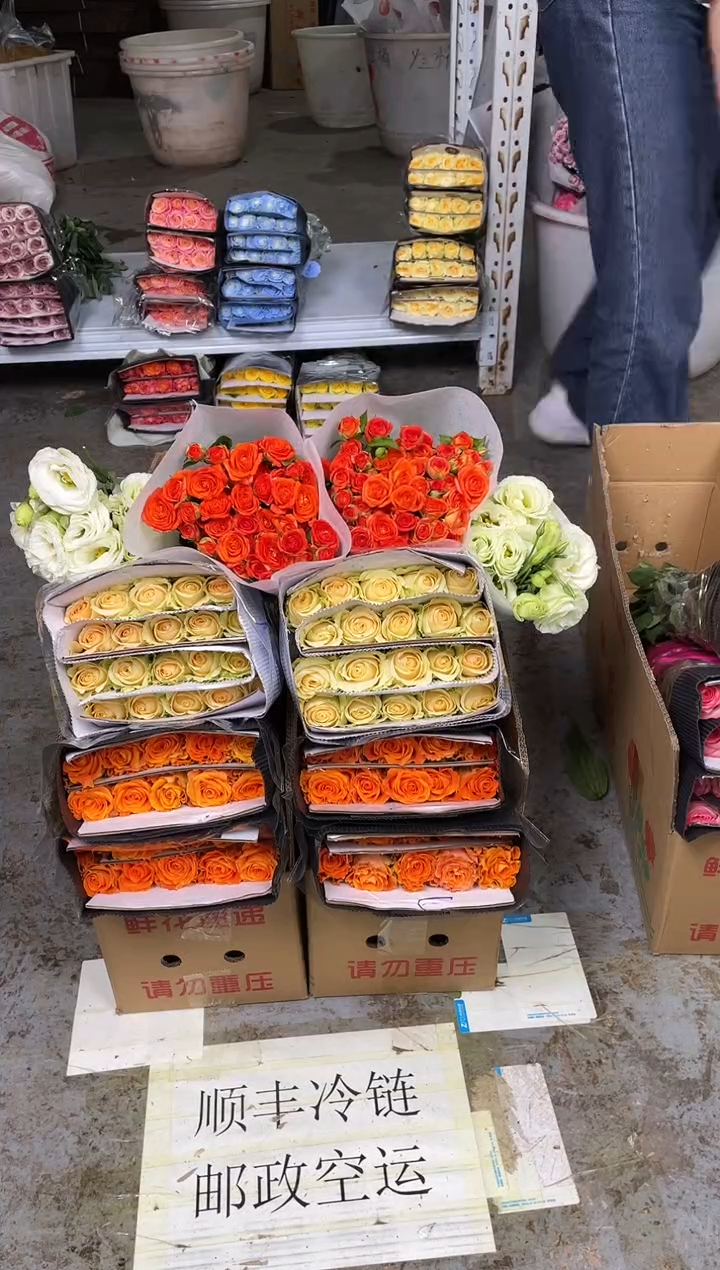 巨蟹座20枝+香槟20枝+橙色芭比10枝+绿色洋桔梗400克