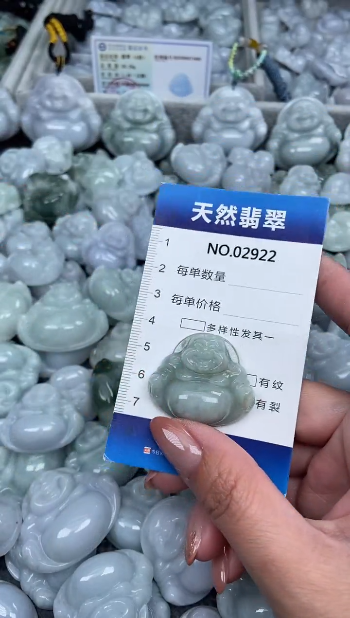 颈饰未镶嵌翡翠纯天然A货翡翠2922