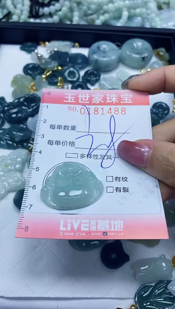 【闪购商品】翡翠颈饰未镶嵌闪购0181488