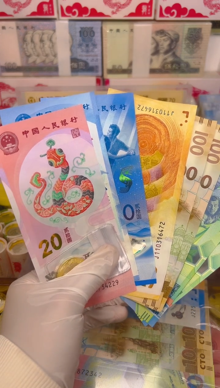 【闪购商品】纸币福蛇献瑞纪念八钞一币合集（纸+塑料）