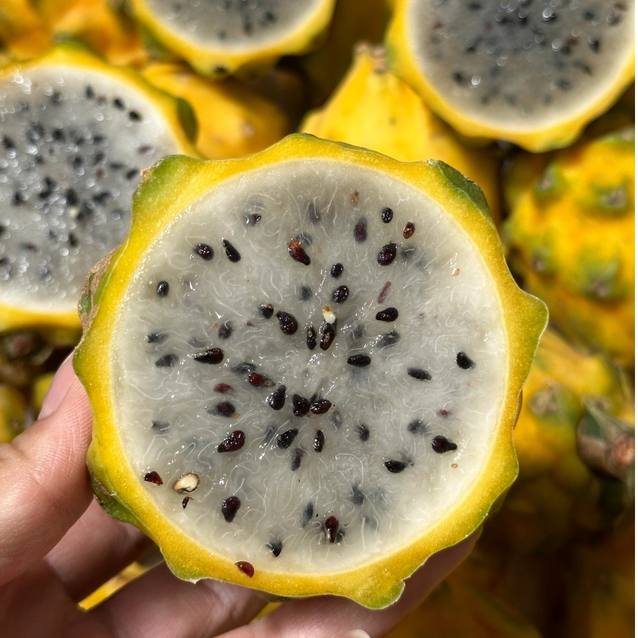 海南空运燕窝果 清甜奶香味 今天拍明天到 顺丰包邮 2斤起新鲜