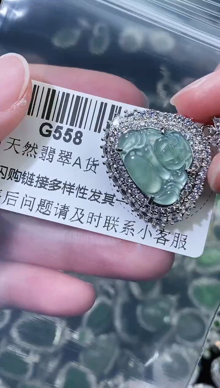 翡翠未镶嵌颈饰精美翡翠-多样性只发一件G558