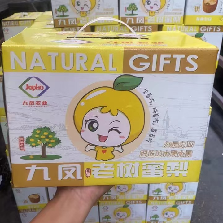 九凤老树蜜梨 好吃大牌水果