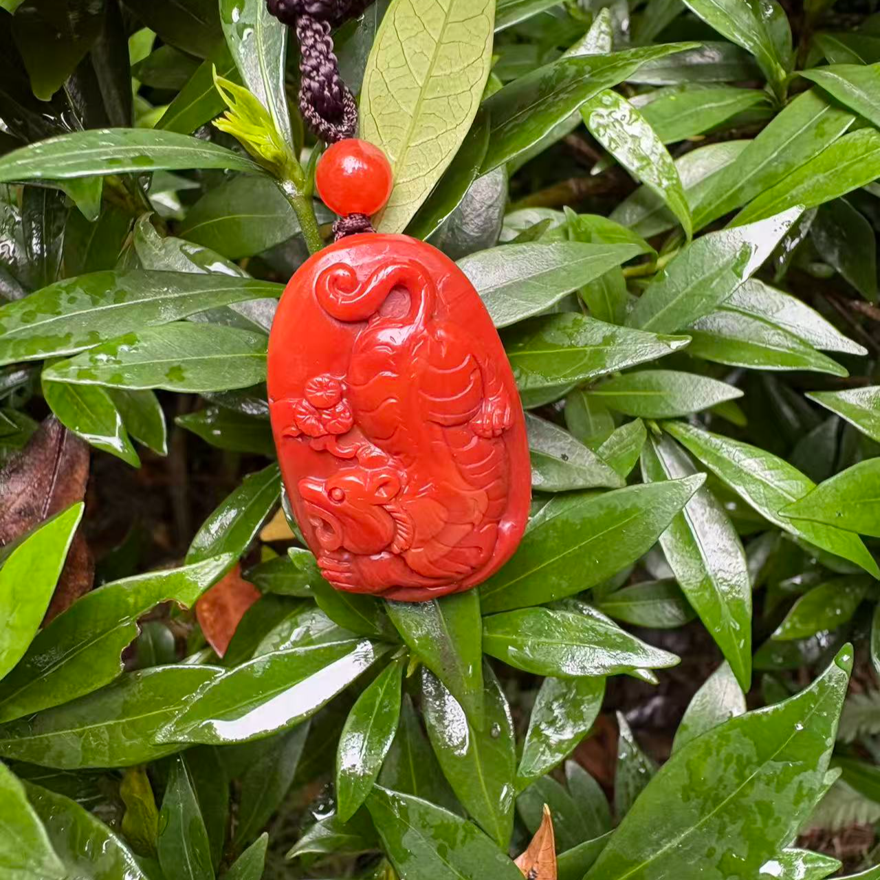 满色满肉S级柿子锦 原矿南红吊坠 虎虎生威