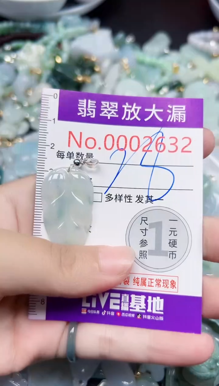 颈饰未镶嵌翡翠2632