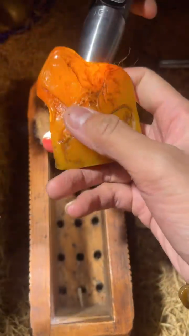 香榧木（1个黄色小石头）