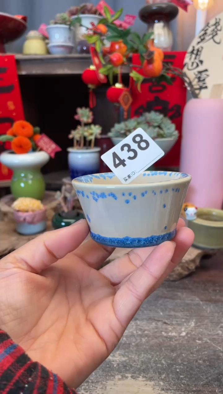 【闪购商品】摆件438知木小芳花盆