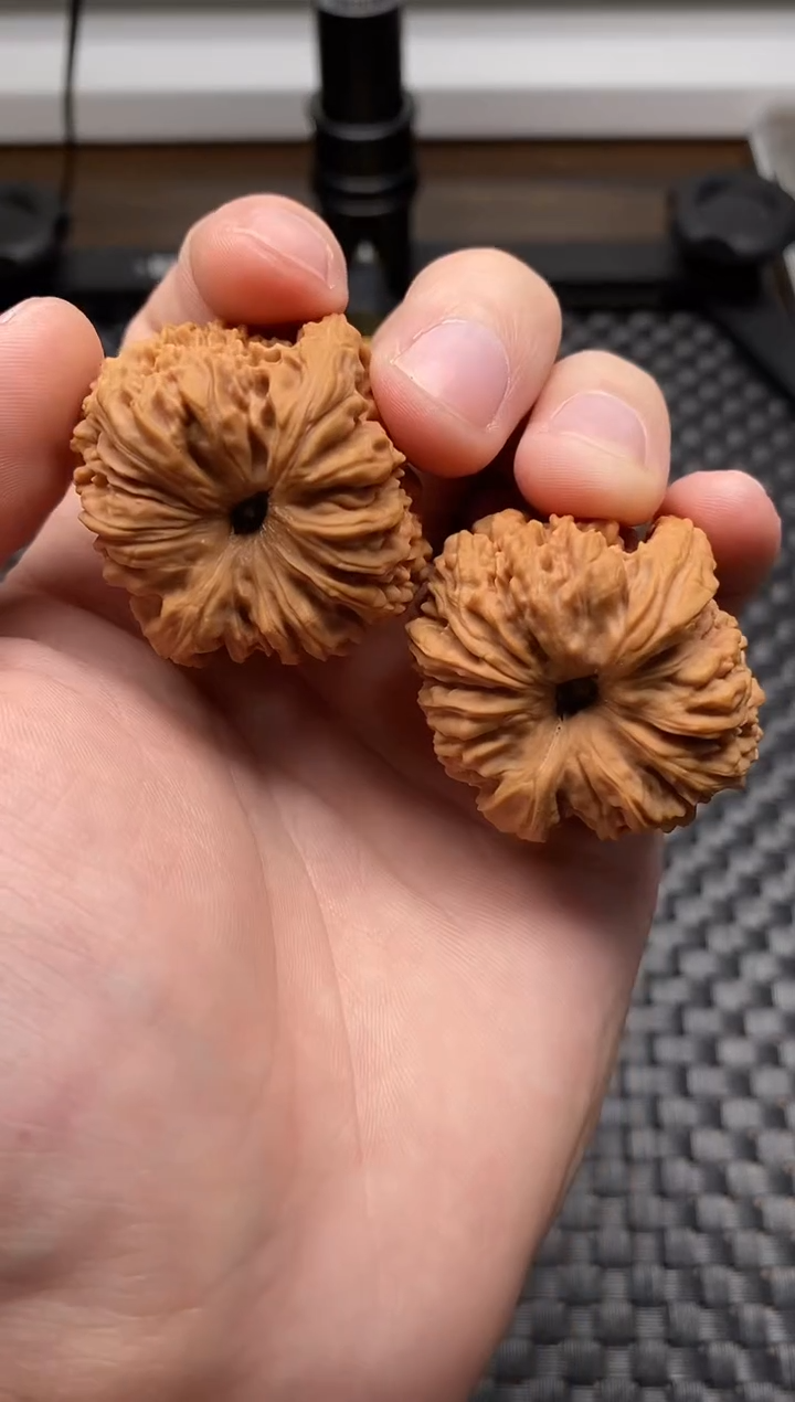 把件文玩核桃澄***g全品高炮拉丝蚂蚁纹凹底南疆石38尺