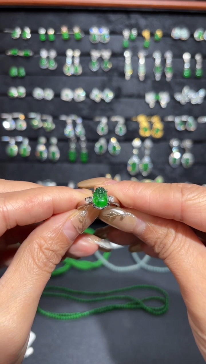 【闪购商品】翡翠颈饰银S925镶嵌貔貅/支持复检/一件