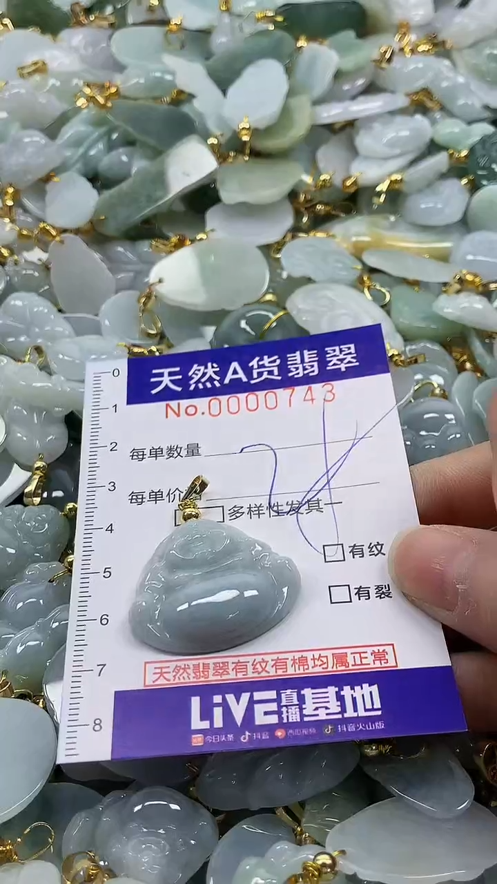 颈饰未镶嵌翡翠纯天然a货翡翠