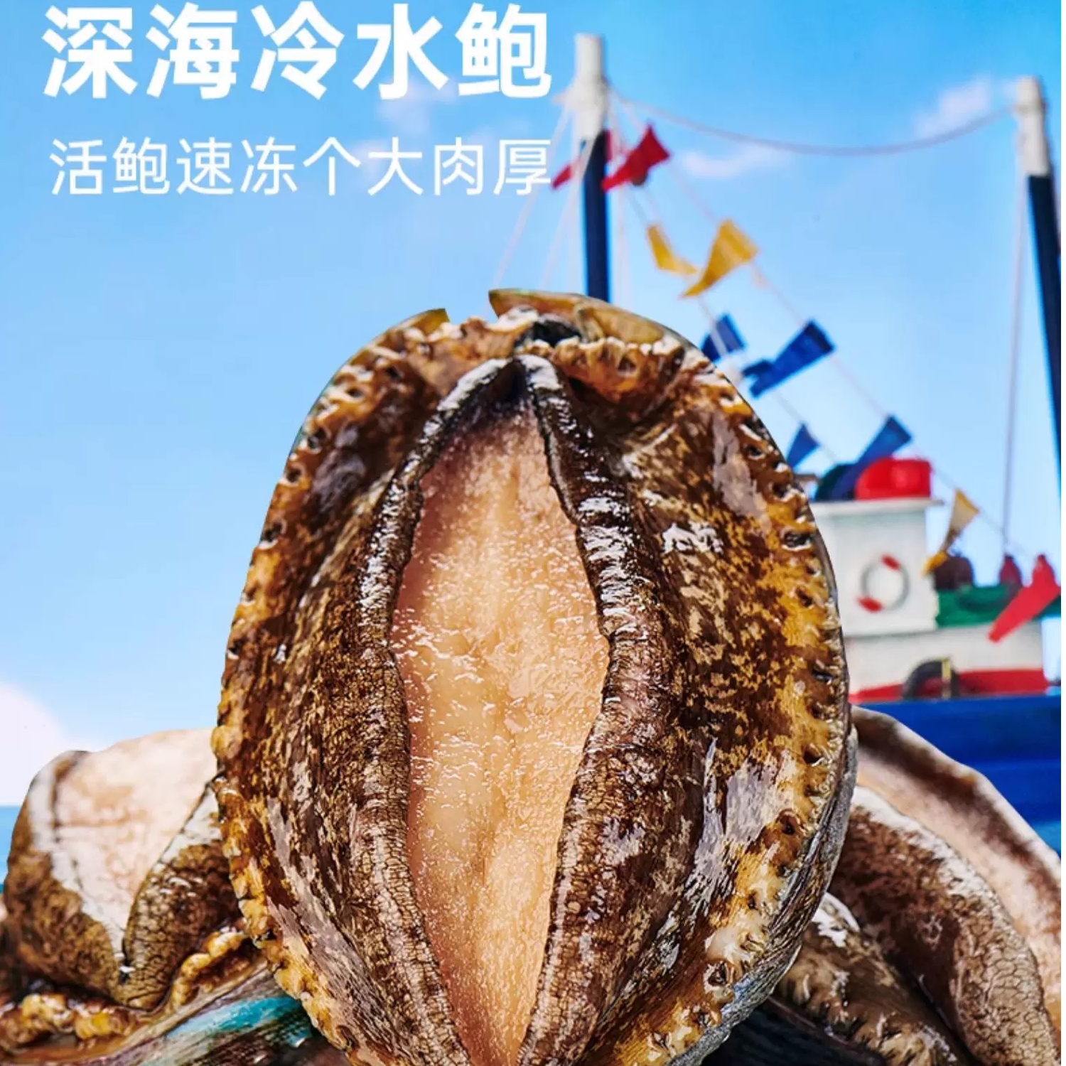 大连特产-深海 鲜捕捞大号冷水鲍鱼-新鲜速冻锁鲜