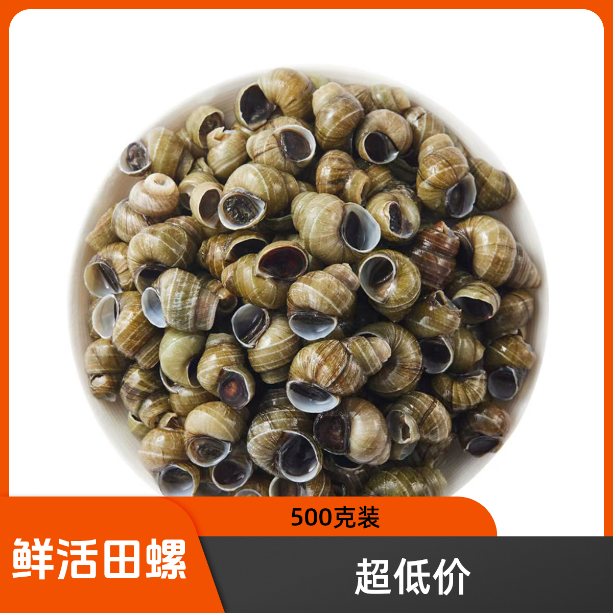 鲜活剪尾田螺500g