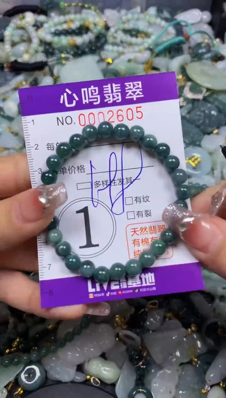 【闪购商品】翡翠颈饰未镶嵌闪购002605