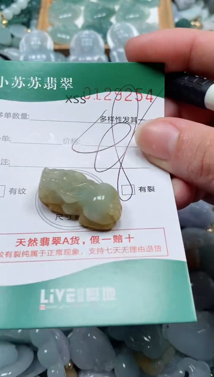 【闪购商品】翡翠颈饰未镶嵌闪购商品0129254