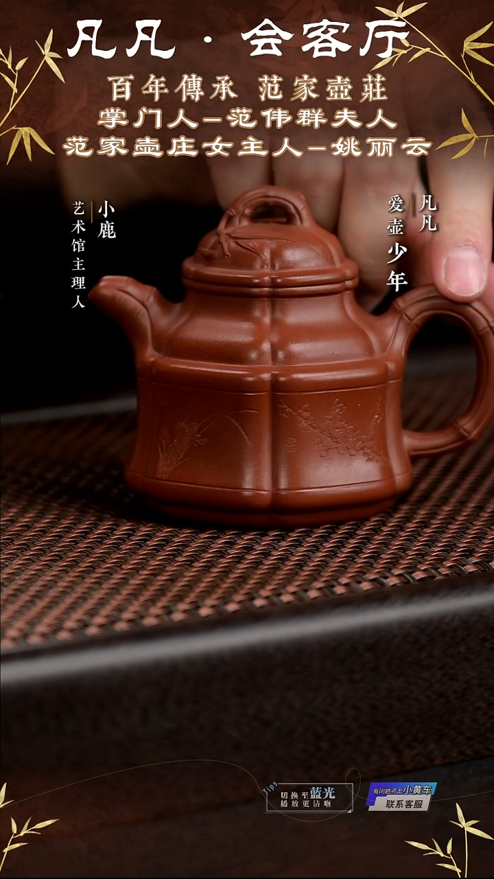 茶壶紫砂姚丽云紫砂壶146 &凡凡会客厅 竹鼎