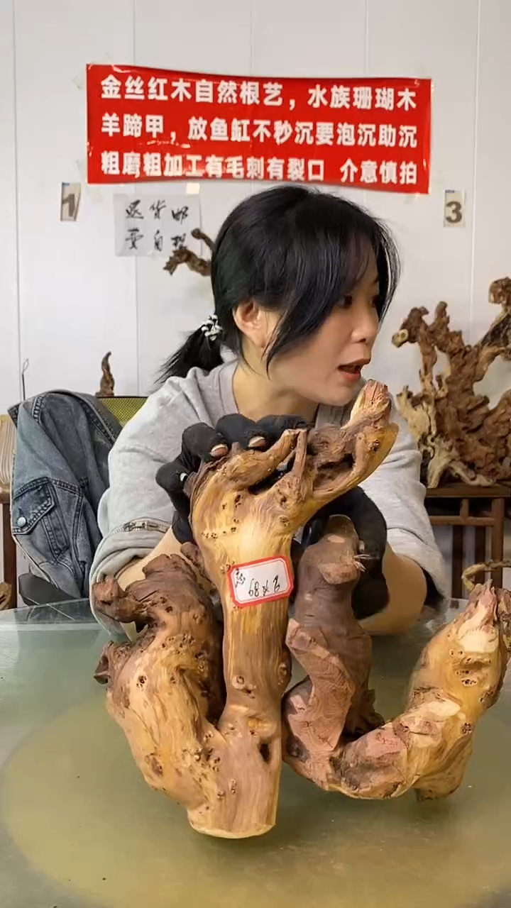 香榧木忘*金丝红木 羊蹄甲