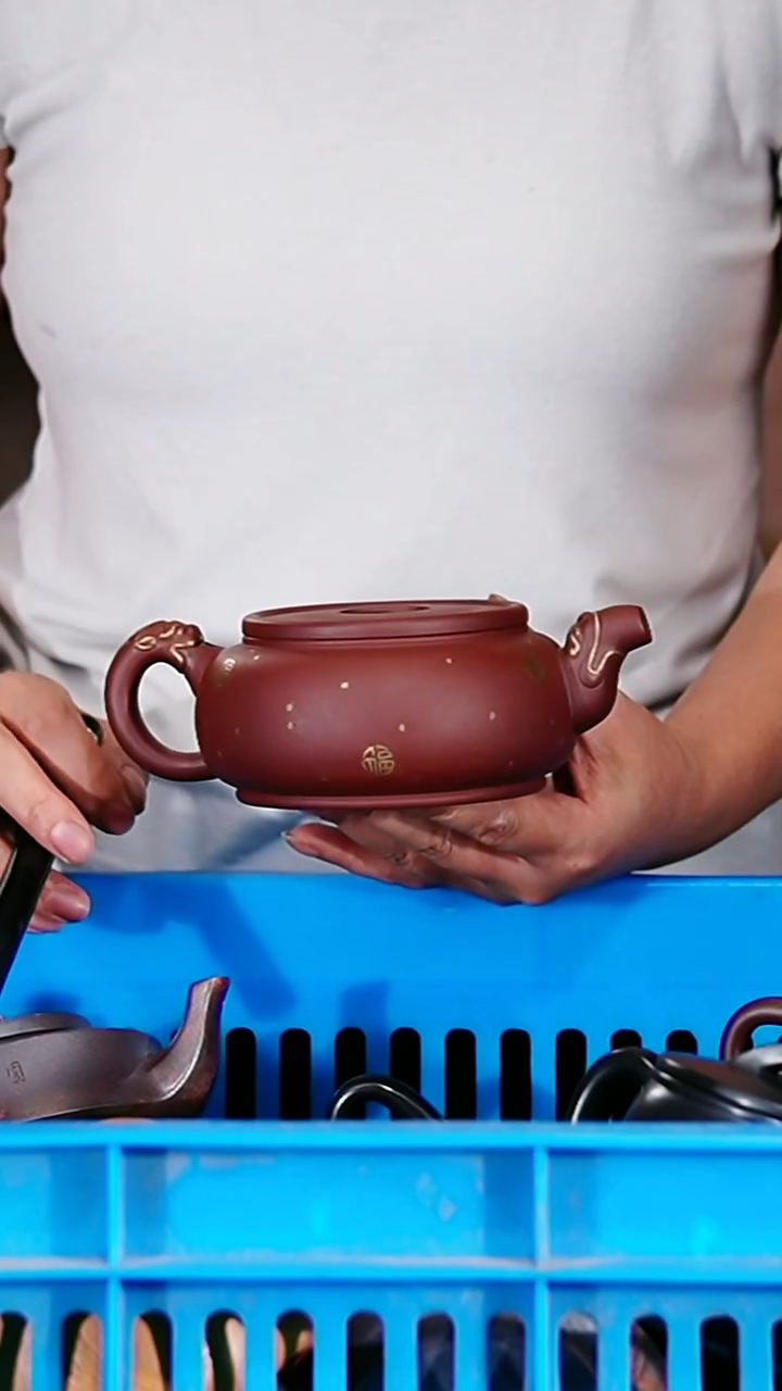 宜兴原矿紫砂壶茶壶300C