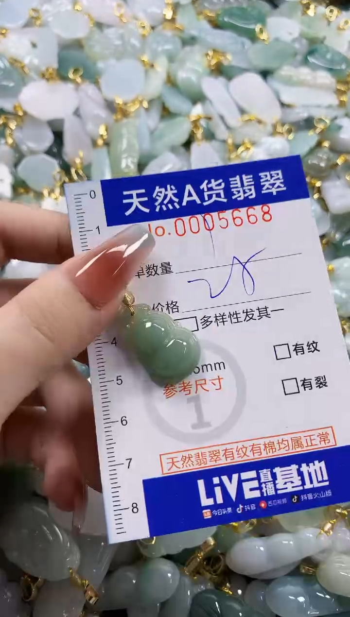 颈饰未镶嵌翡翠天然A货翡翠