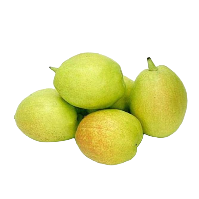 香梨新疆库尔勒香梨10斤