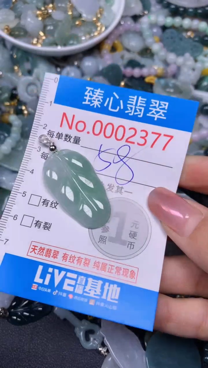 【闪购商品】翡翠颈饰未镶嵌含绳0002377