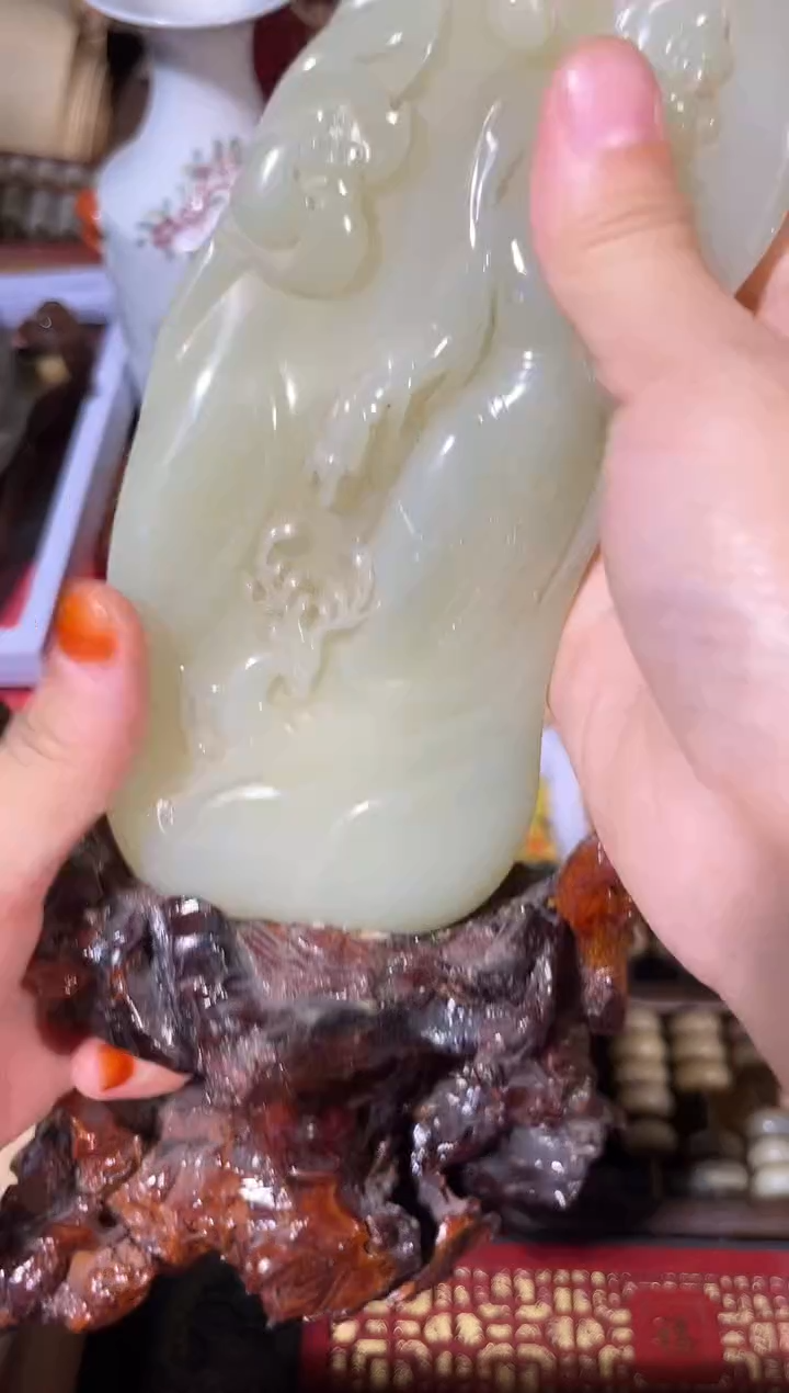 黄杨木1111111111111111