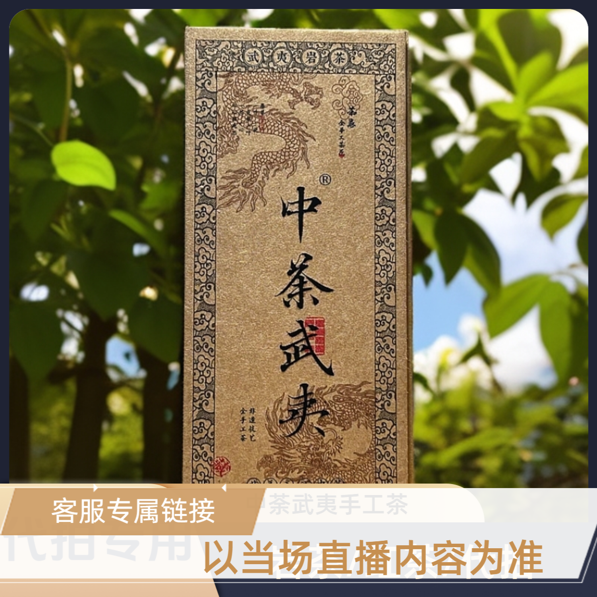客服【7】武夷岩茶/九龙窠老枞梅占50克