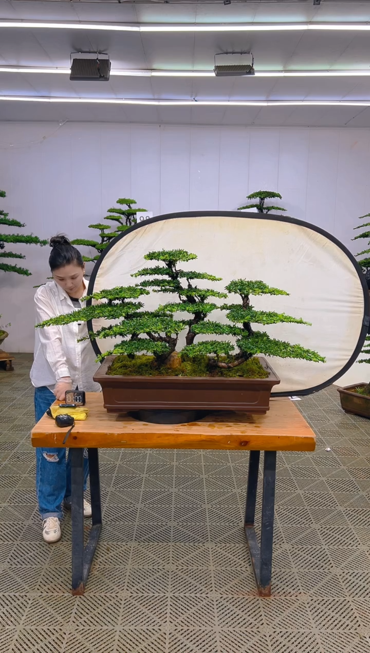 无花朵一物一拍一物一拍