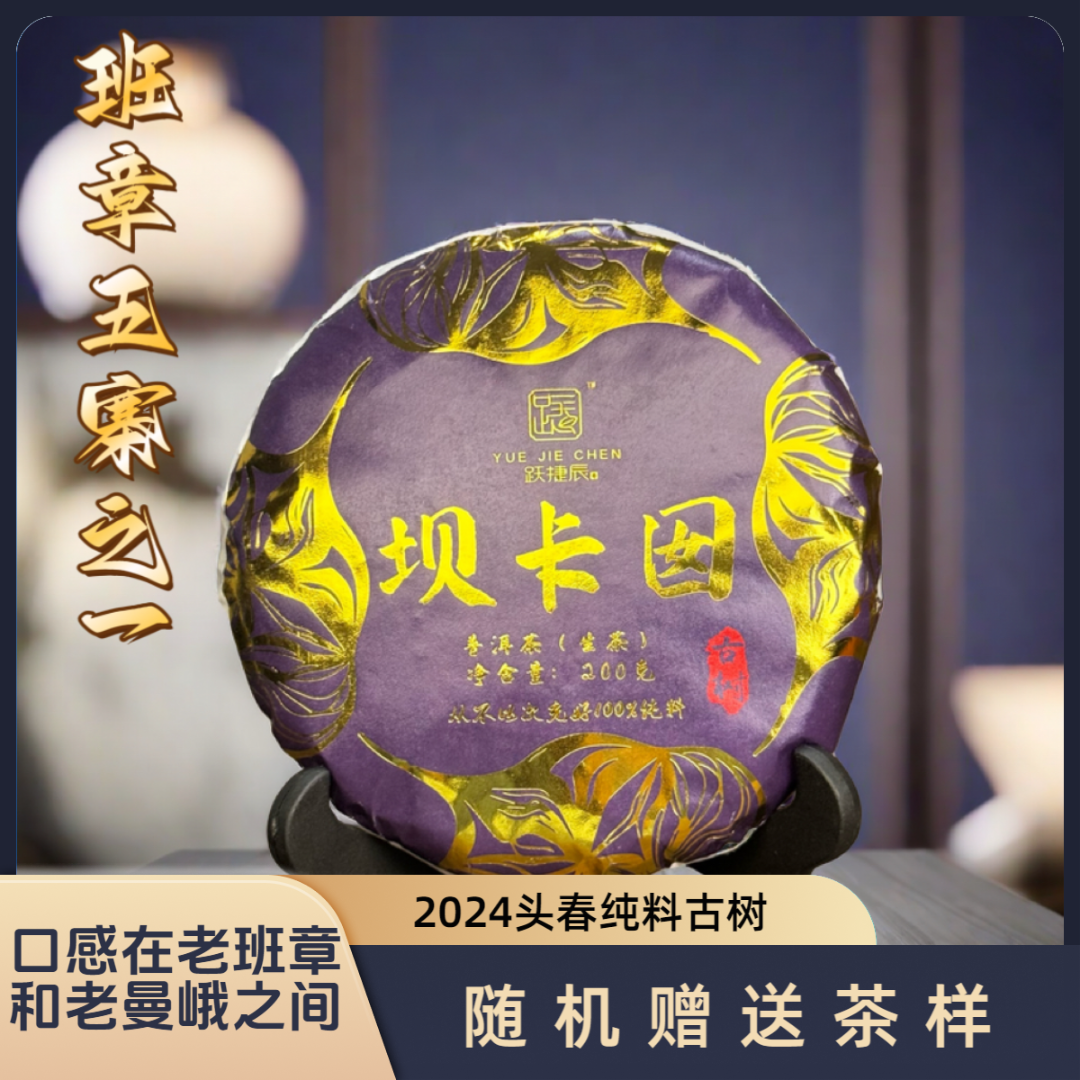 跃捷辰号【假一赔十】2024年头春坝卡囡纯古树生茶200克（可买茶样）
