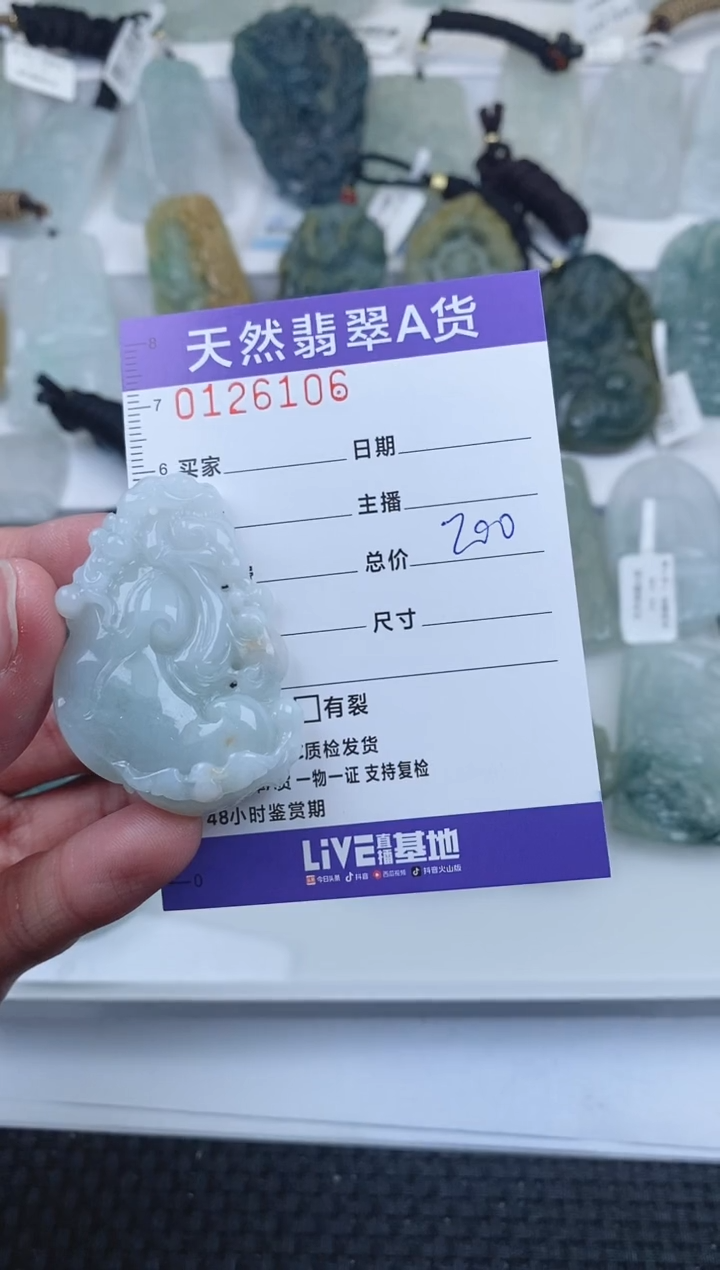 【闪购商品】翡翠颈饰未镶嵌        106