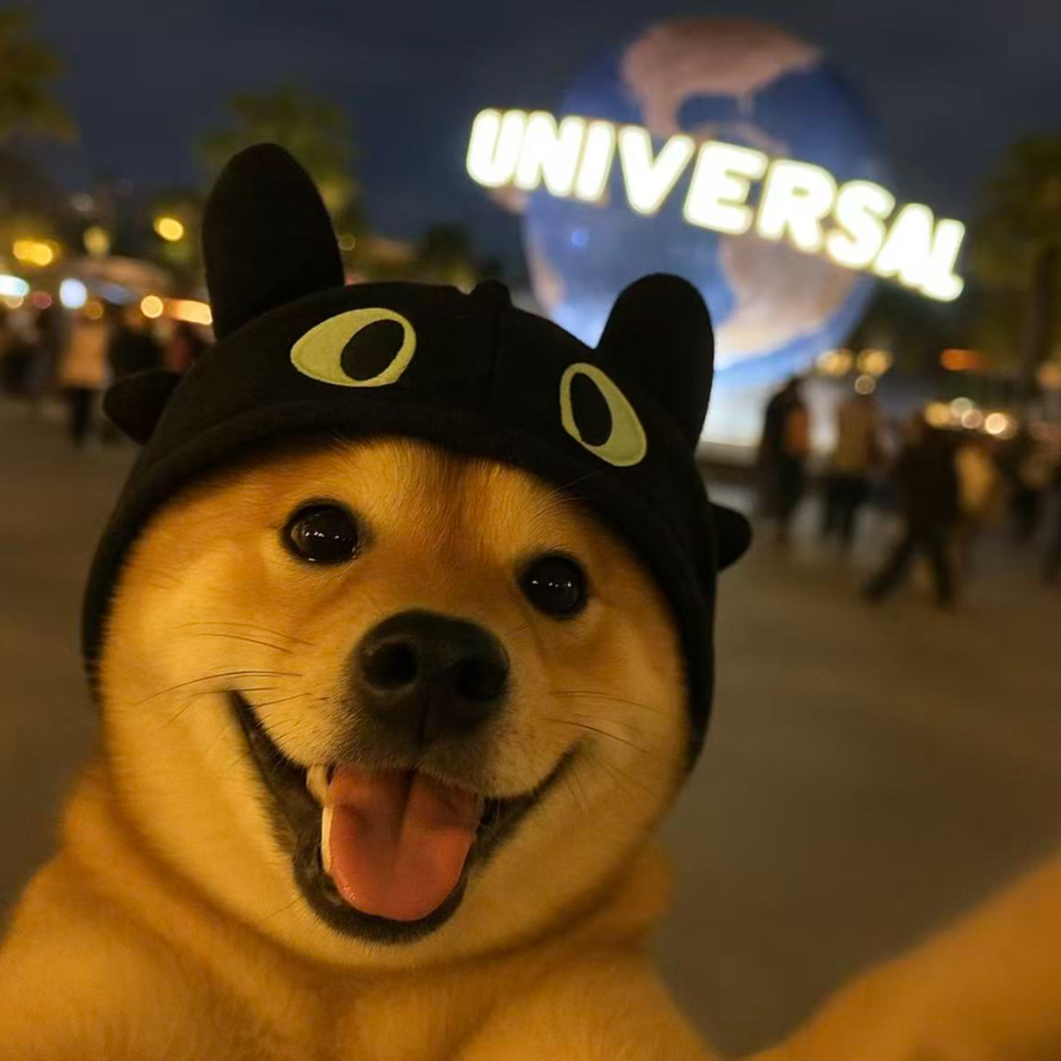 柴犬活体宠物链接