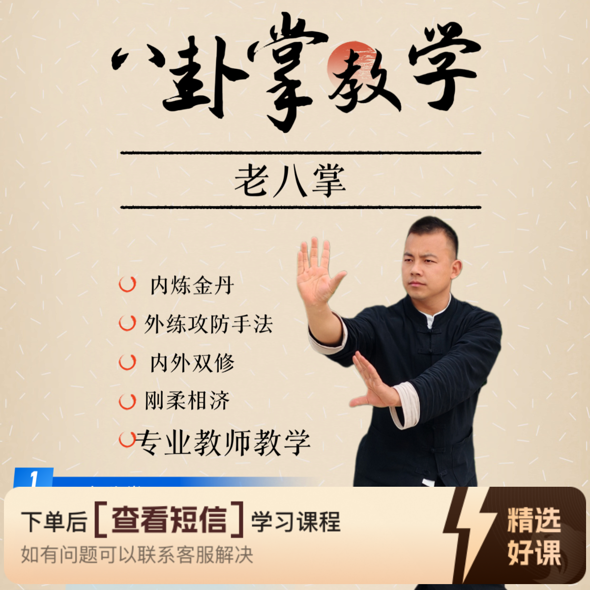 传统.武术老八掌（留意短信解锁课程）