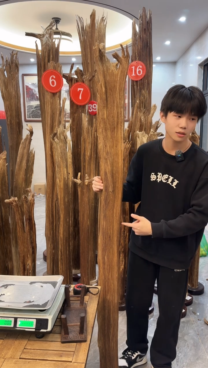 【闪购商品】沉香摆件沉香摆件73