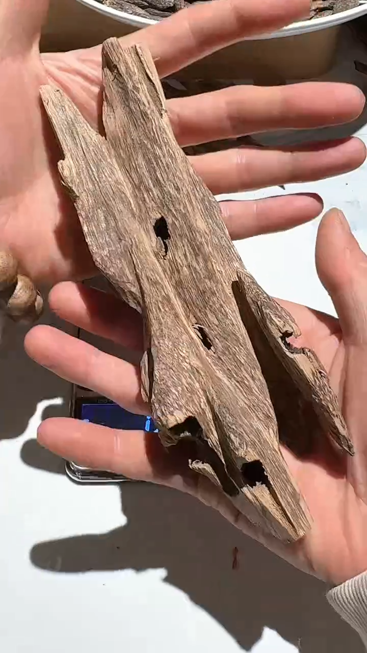 【闪购商品】沉香手把件广东料50g