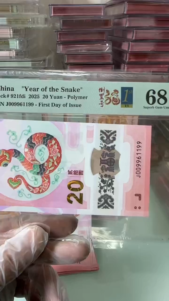 【闪购商品】塑料009961199-蛇钞单张！