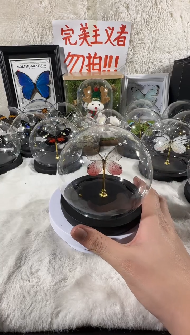 玫瑰晶眼蝶水晶球    