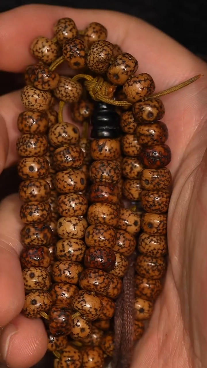 冲赛康胡子哥，藏传念珠249