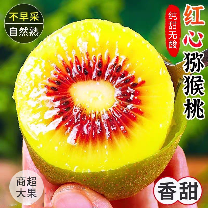 顺丰次日达贵州六盘水水城红心猕猴桃新鲜应季奇异果孕妇水果整箱