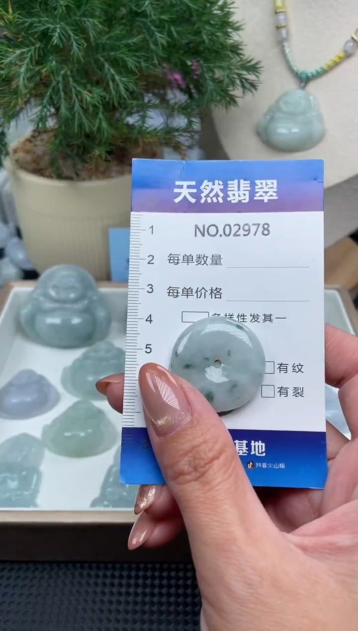 颈饰未镶嵌翡翠纯天然A货缅翡2978