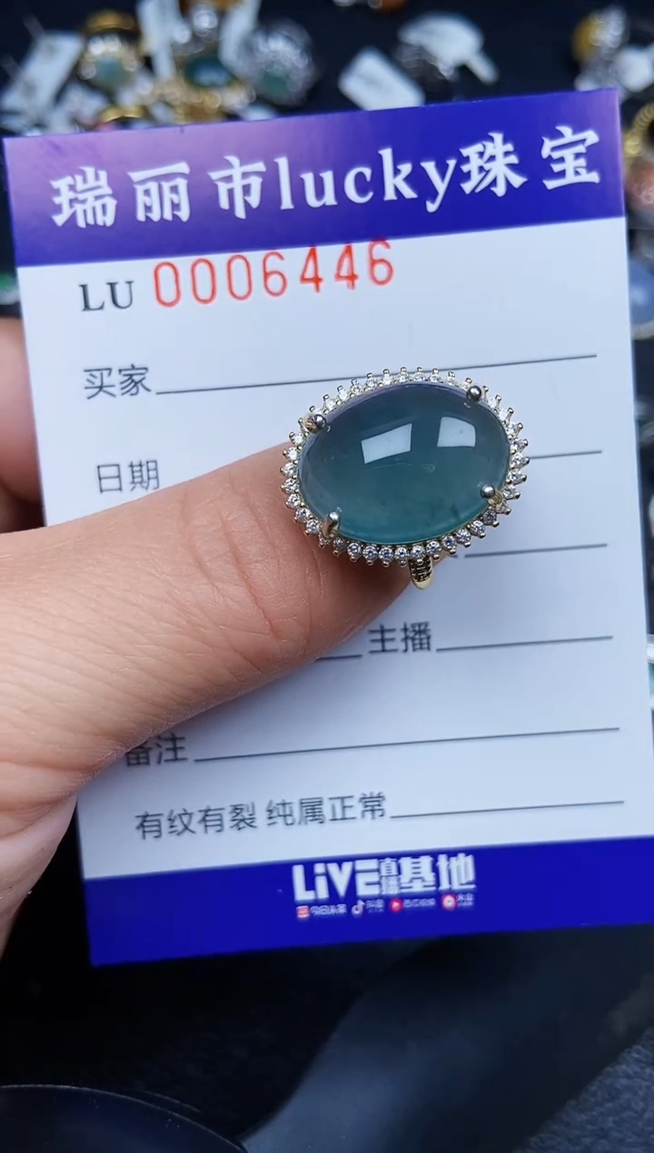 翡翠银S925镶嵌颈饰6446