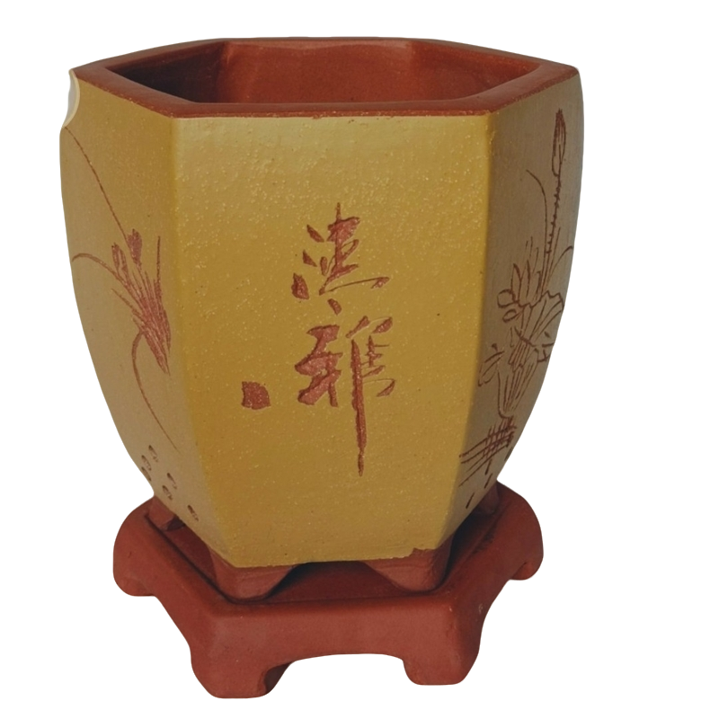 紫砂花盆兰花专用室内透气多肉植物盆栽紫砂盆