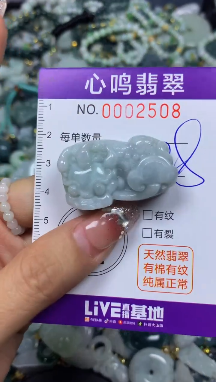 【闪购商品】翡翠颈饰未镶嵌闪购002508