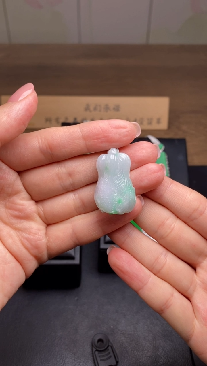 【闪购商品】翡翠颈饰未镶嵌翡翠