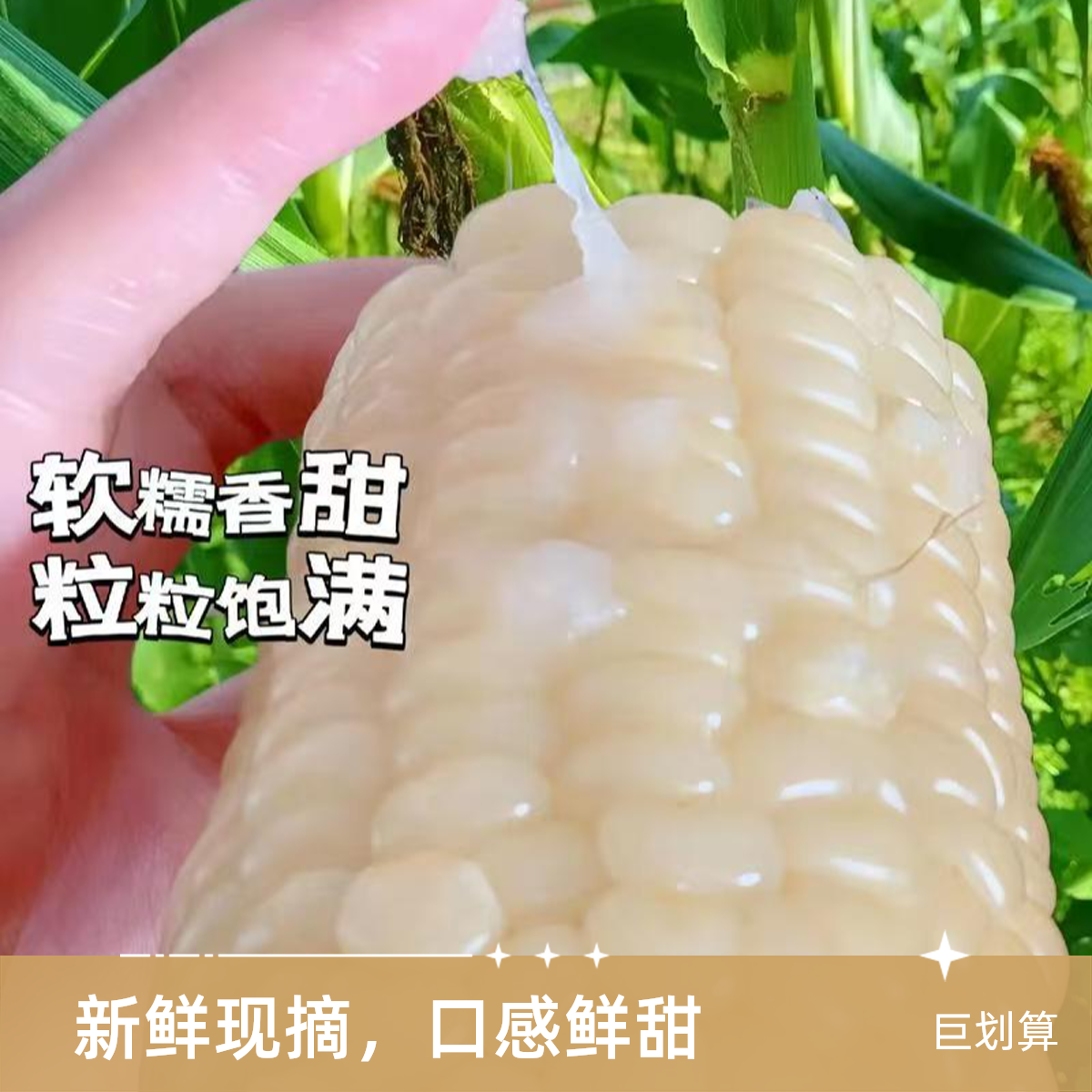 【顺丰包邮】内蒙古甜糯玉米真空包装