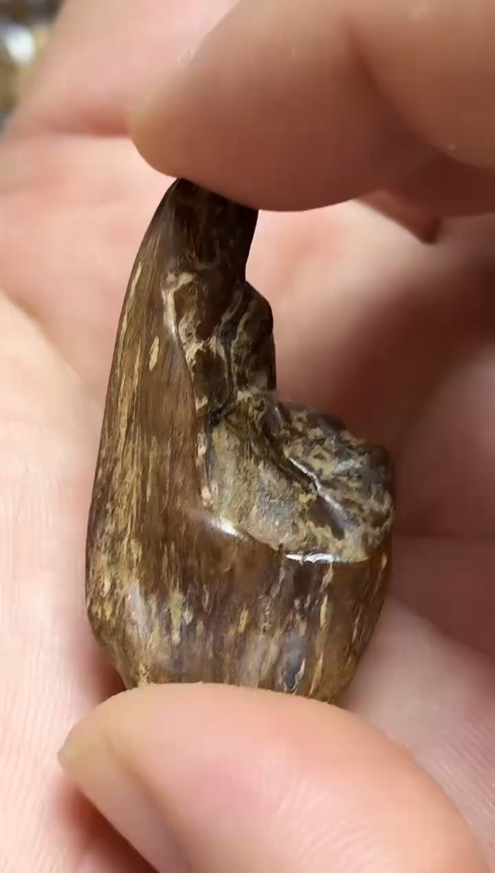 沉香吊坠 海南沉香随型吊坠沉水多样性发其一