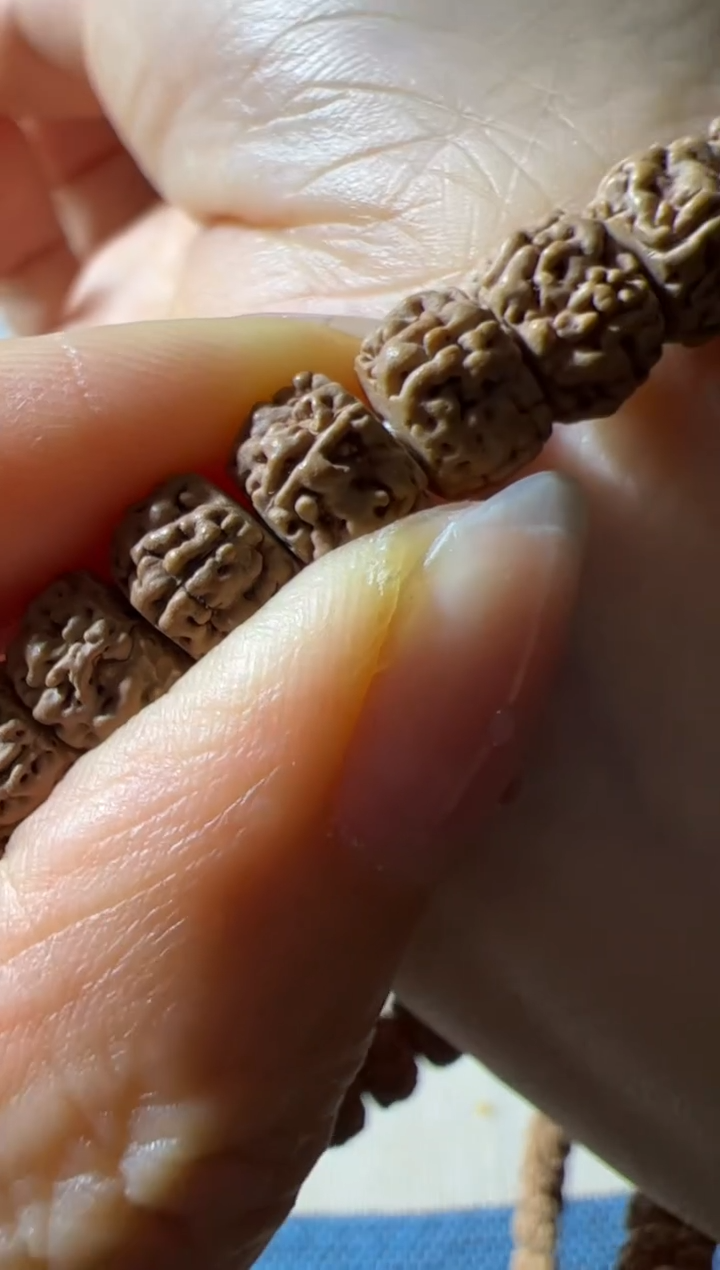 金刚菩提手串一代龙108长串8mm左右