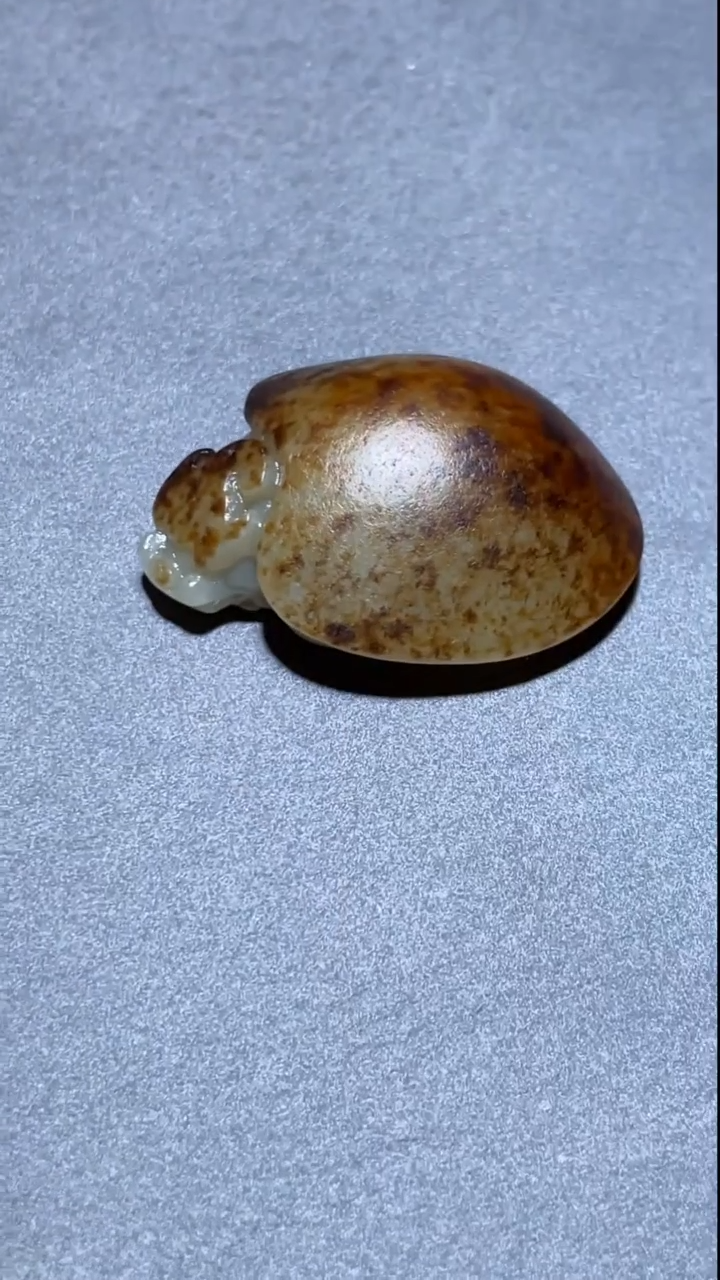 定制和田玉y   龙龟