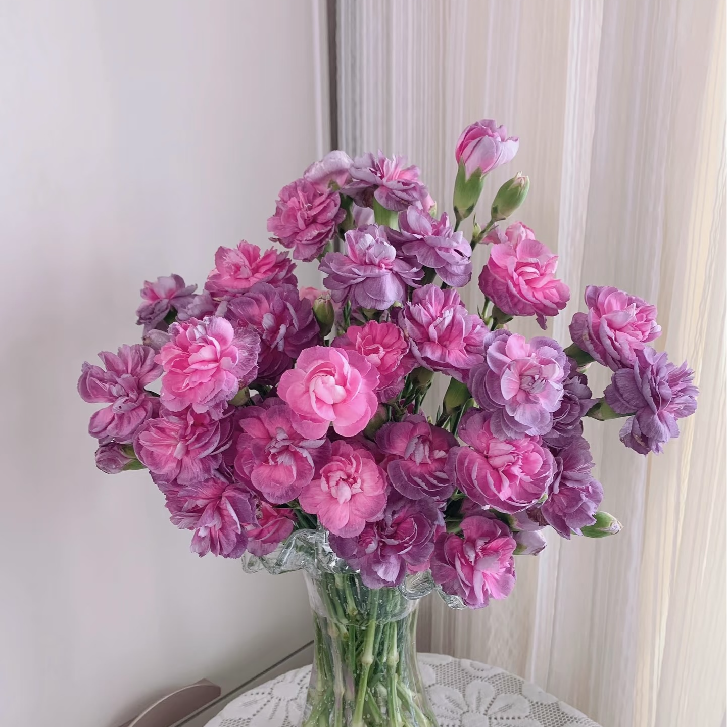 【多头野马康乃馨20支】任意2单鲜花升级顺丰/德邦