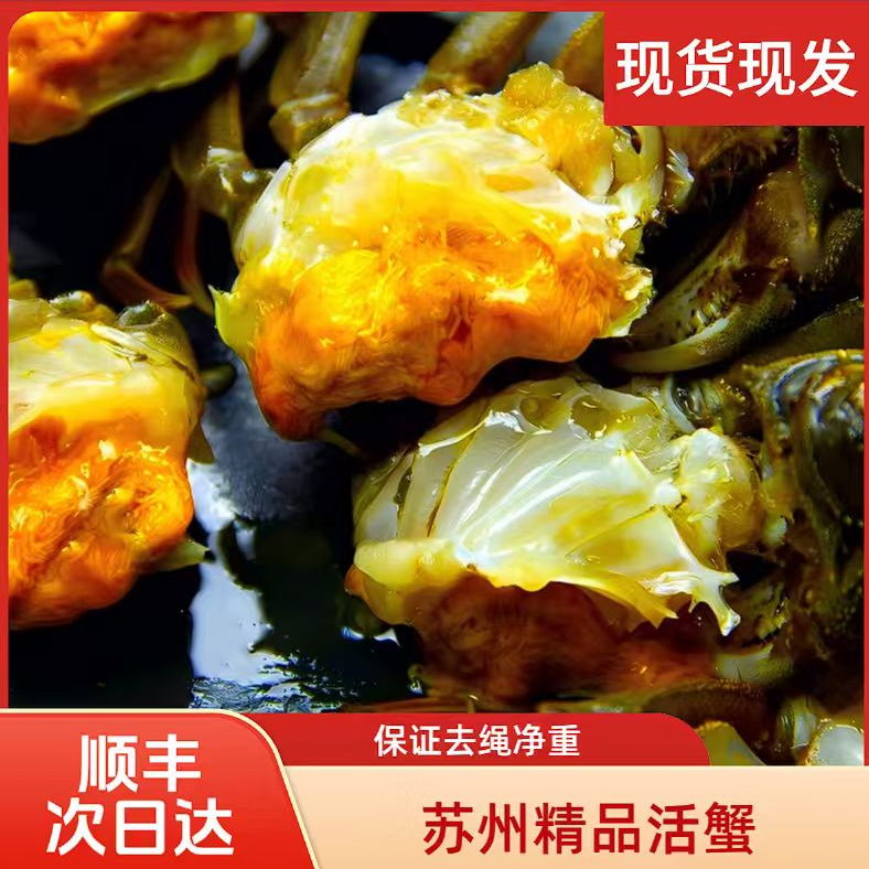 世上湖山【活蟹】江苏河蟹 1.9-2每只增量0.5两10只全公（顺丰冷链）