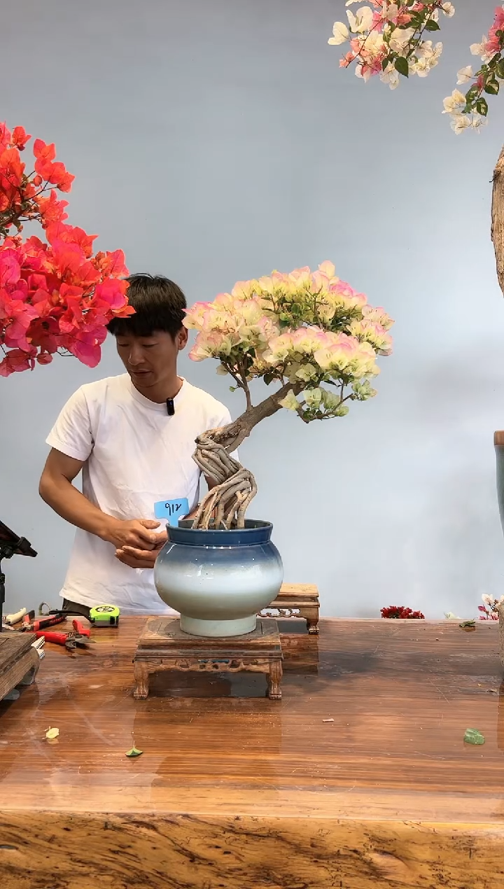 【闪购商品】aaa912