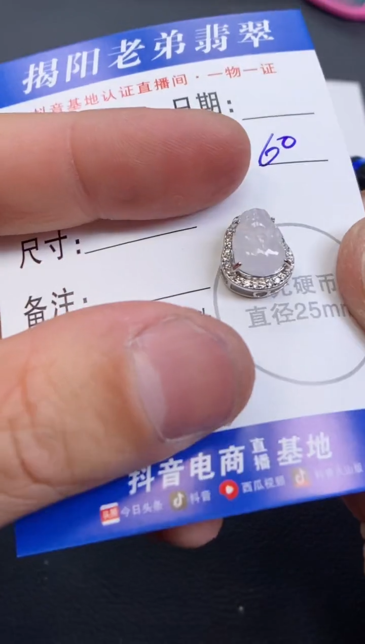 【闪购商品】翡翠颈饰银S925镶嵌多样性发其中一件